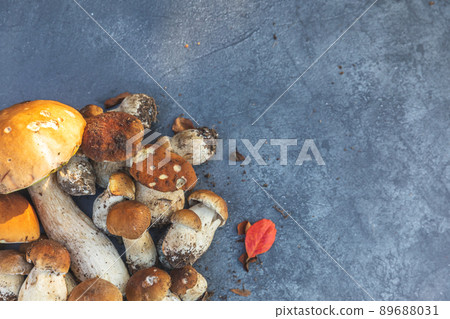 Autumn fall composition. Raw edible mushrooms Penny Bun on dark black stone shale background. Ceps over gray table. Cooking delicious organic mushroom gourmet food. Flat lay top view copy space 89688031