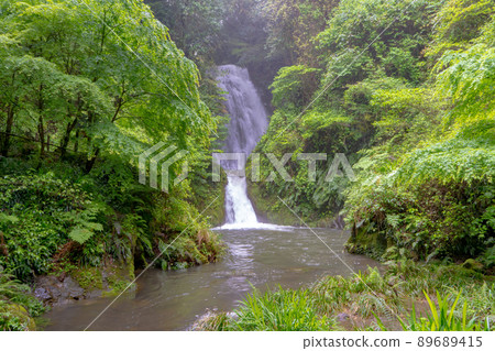 藤本瀑布的風景 89689415