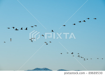 Formation flight of Magan Formation flight of Magan 89689530