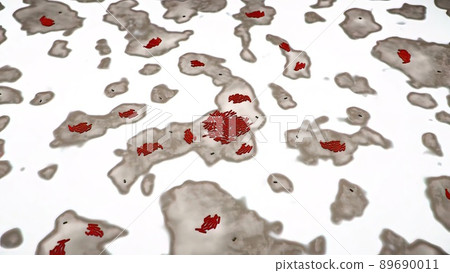 Normal flora of small intestine, lactic acid bacteria. Probiotic bacterium Normal flora of small intestine, lactic acid bacteria. Probiotic bacterium 89690011