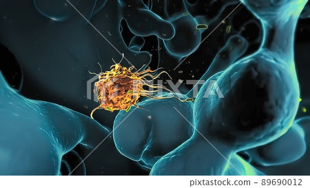 Normal flora of small intestine, lactic acid bacteria. Probiotic bacterium Normal flora of small intestine, lactic acid bacteria. Probiotic bacterium 89690012