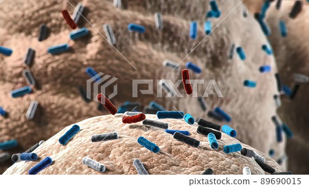 Bacteria of different shapes, rod-shaped bacteria and cocci, human microbiome, human pathogenic bacteria, 89690015