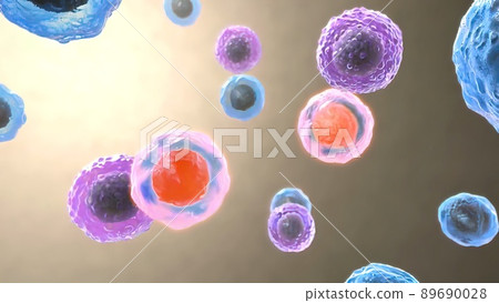 Antigen Recognition by B-cell and T-cell Receptors 89690028