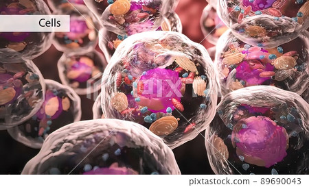 Travel inside the cell showing the mitochondria producing energy. 89690043