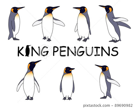 Realistic King Penguin Illustration Set Realistic King Penguin Illustration Set 89690982