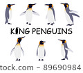 逼真的國王企鵝插圖集 89690984
