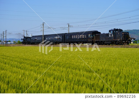 SL Hitoyoshi 運行在新鮮綠色的鹿兒島本線上 SL Hitoyoshi 運行在新鮮綠色的鹿兒島本線上 89692216