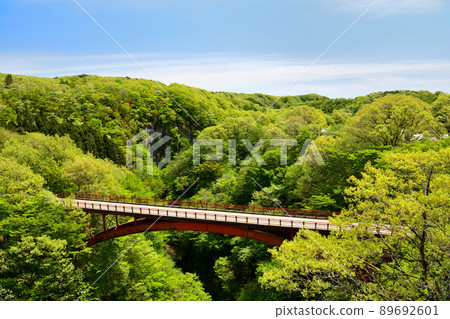 Fukushima and the old Yukiwari Bridge are celebrating the fresh green season 89692601