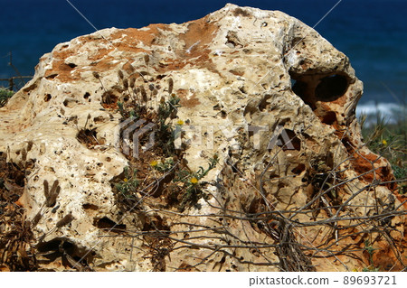 texture and structure of stones and rocks texture and structure of stones and rocks 89693721