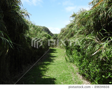 久米島縣立自然公園沖繩四月 久米島縣立自然公園沖繩四月 89694608