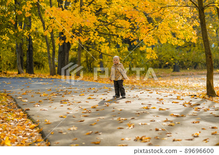 Baby girl walking in the autumn park. Sunny autumn day. Happy childhood. 89696600