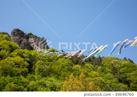 Road station Ryoyama Takeyama's carp streamer 89696760
