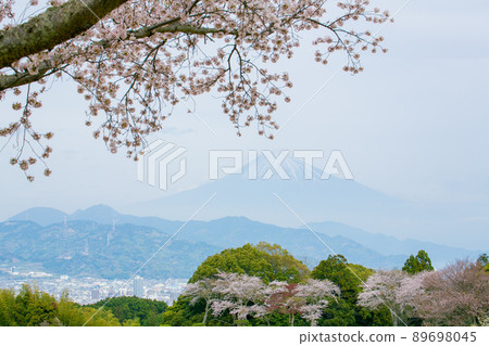 Sakura and Mt. Fuji, Shizuoka Prefecture 89698045
