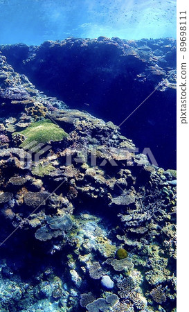 沖繩縣阿嘉島海底珊瑚礁和沙子的美麗海景 89698111