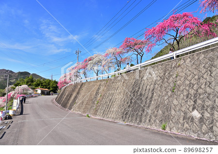 Azumachosayado / Ohata Hanamomo Highway 群馬縣綠市 Azumachosayado / Ohata Hanamomo Highway 群馬縣綠市 89698257