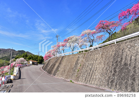 Azumachosayado / Ohata Hanamomo Highway 群馬縣綠市 89698258
