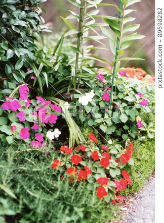 Heisei 729 Heisei 729 89698282