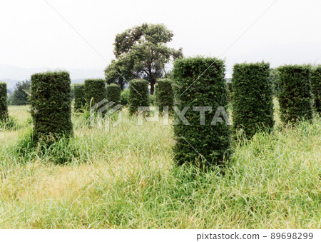 Heisei 715 Heisei 715 89698299