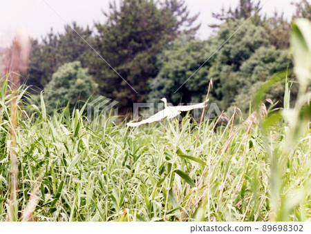 平成714 平成714 89698302