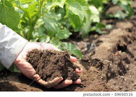Field soil Field soil 89698516