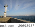 Landscape of the main island 2 89698987