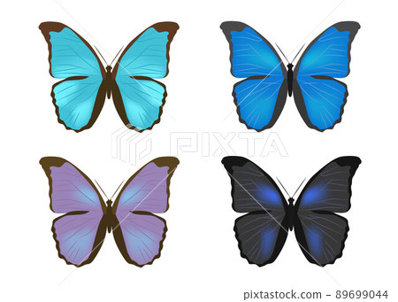 色彩艷麗的燕尾蝶 89699044