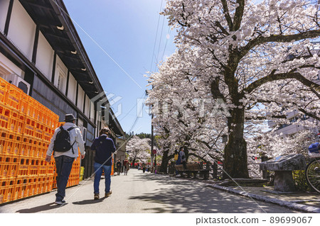 210407 Sakura Nakahashi z314 89699067