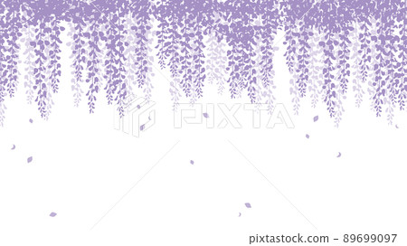 Image background of wisteria flowers in full bloom hanging from above Image background of wisteria flowers in full bloom hanging from above 89699097