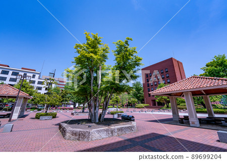 被大自然包圍的美麗山梨學院大學校園,崇光大學甲府市 被大自然包圍的美麗山梨學院大學校園,崇光大學甲府市 89699204