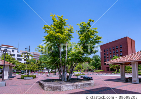 被大自然包圍的美麗山梨學院大學校園,崇光大學甲府市 被大自然包圍的美麗山梨學院大學校園,崇光大學甲府市 89699205