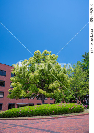 被大自然包圍的美麗山梨學院大學校園,崇光大學甲府市 被大自然包圍的美麗山梨學院大學校園,崇光大學甲府市 89699268