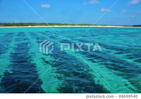 Kumejima mozuku seaweed farming scenery Kumejima mozuku seaweed farming scenery 89699540