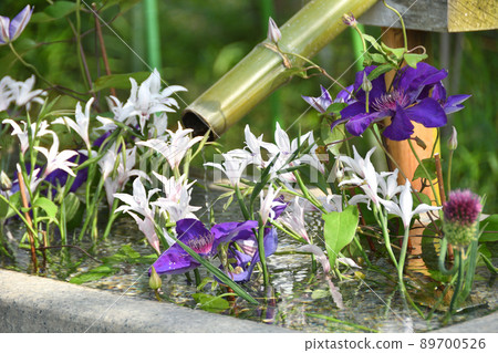 Chozuya with flowers 89700526