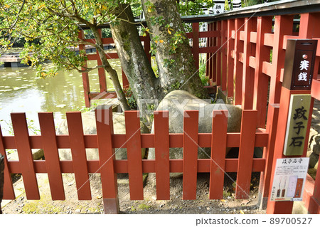 鶴岡八幡宮的雅子石 89700527