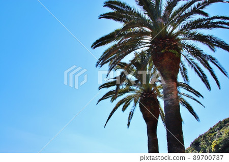 Horikiri Pass on the Nichinan coast of Miyazaki Horikiri Pass on the Nichinan coast of Miyazaki 89700787