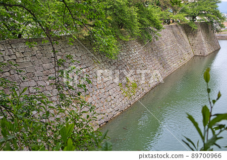 Fresh green season-Fukui Prefectural Office 89700966