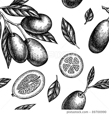 Citrus seamless pattern background design. Engraved style. Hand drawn kumquat. Citrus seamless pattern background design. Engraved style. Hand drawn kumquat. 89700990