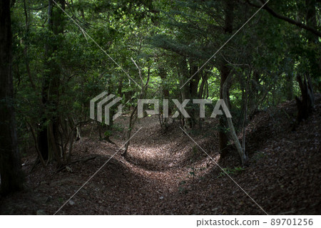 Mountain trail of Satoyama Mountain trail of Satoyama 89701256