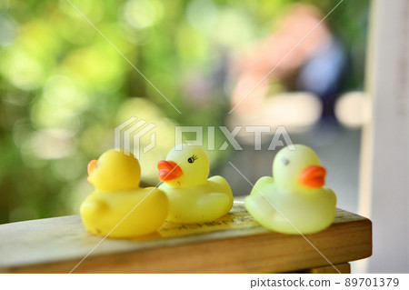Lined ducks Lined ducks 89701379