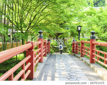 Fresh green of Shuzenji Fresh green of Shuzenji 89701435
