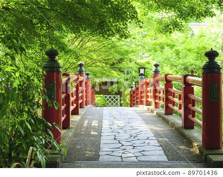 修善寺的新綠 修善寺的新綠 89701436