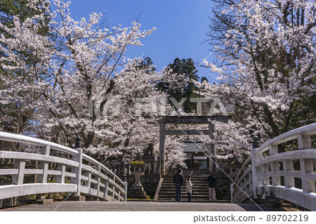 210407 護國神社櫻花z050 210407 護國神社櫻花z050 89702219