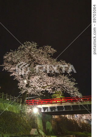 210408 中橋洋櫻 z036 89703064