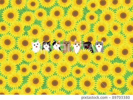 七隻可愛的貓從向日葵田裡看臉 七隻可愛的貓從向日葵田裡看臉 89703380