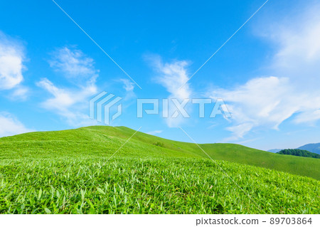 Shinshu Venus Line / Mitsumineyama trekking 89703864