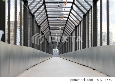 Long pedestrian bridge (Arakawa Natural Park) 89704339