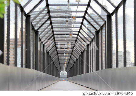 Long pedestrian bridge (Arakawa Natural Park) Long pedestrian bridge (Arakawa Natural Park) 89704340