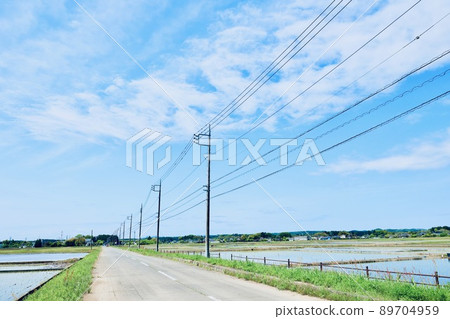 電線桿和電線 電線桿和電線 89704959