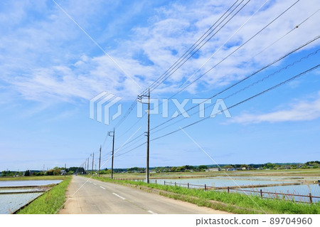 電線桿和電線 電線桿和電線 89704960