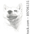 柴犬頭像 89706131